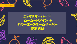 エックスサーバー + ムームードメイン + カラーミーのネームサーバー変更方法